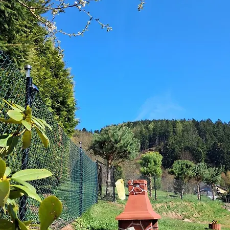W Zielonej Dolinie Hébergement de vacances
